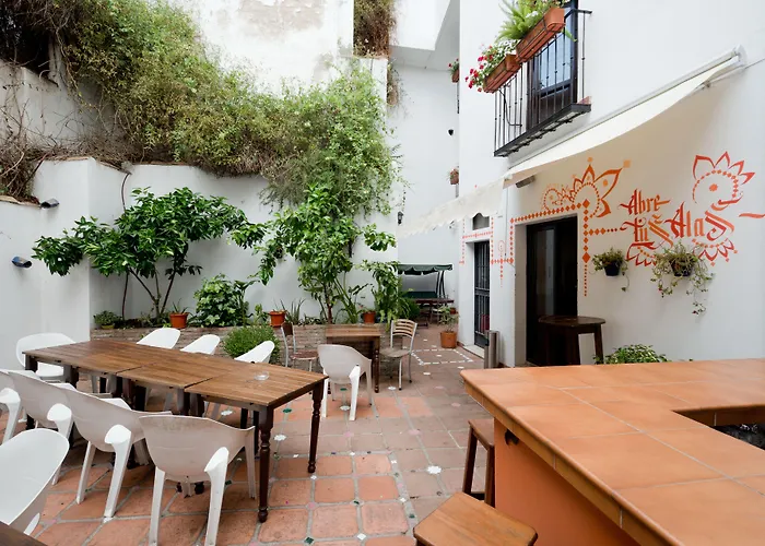 Oasis Backpackers' GranadaHostel